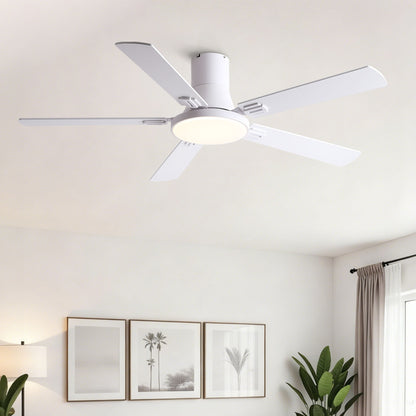 Flush mount ceiling fan with LED light and 5 white blades, white motor housing on Tampa Home & Garden Store