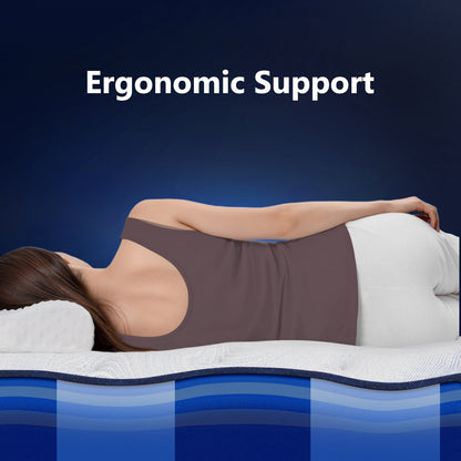 Bedstory Spine Align Pro 14in Twin Firm Cooling Hybrid Mattress shown on bed with ergonomic support banner on Tampa Home & Garden Store