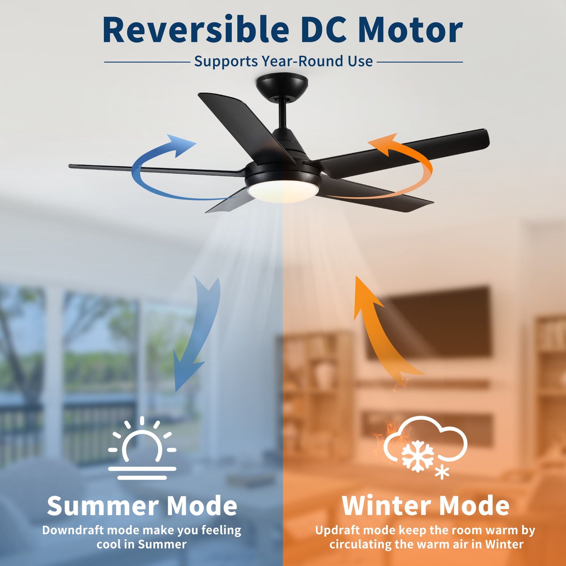 HouseOfZazla black ceiling fan with lights and remote control indoor on Tampa Home & Garden Store