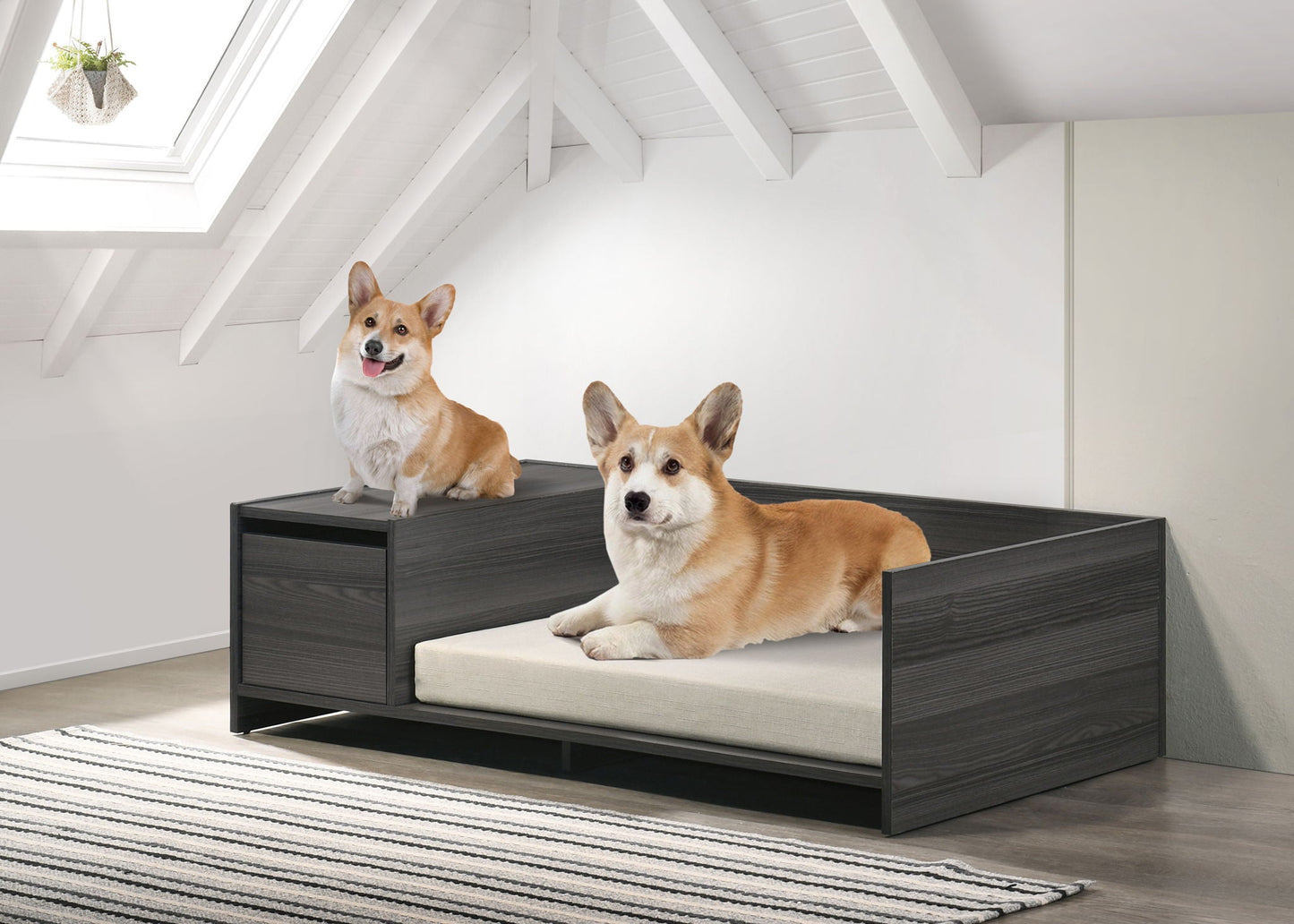 Esme wide comfy pet bed with cushion and side storage in ash gray, two dogs on a wood frame on Tampa Home & Garden Store