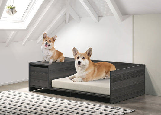 Esme wide comfy pet bed with cushion and side storage in ash gray, two dogs on a wood frame on Tampa Home & Garden Store