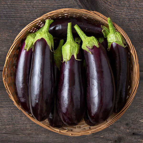 Diamond Eggplant fresh purple eggplants in a wicker basket, six fruits Seedtime Store on Tampa Home & Garden Store
