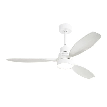 White ceiling fan with LED light, DC motor, solid blades, remote control Unique Piece Furniture on Tampa Home & Garden Store