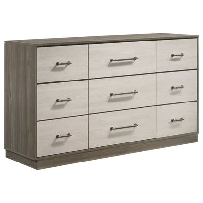 4 Piece Queen Bedroom Set with Storage and Mirror
