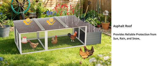 Large Chicken Coop with 20.93 sq ft run and asphalt roof by HouseOfZazla on Tampa Home & Garden Store