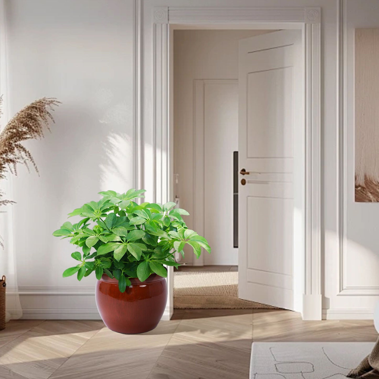 Ceramic flowerpot planter with lush green foliage in a large brown pot indoors by a doorway on Tampa Home & Garden Store