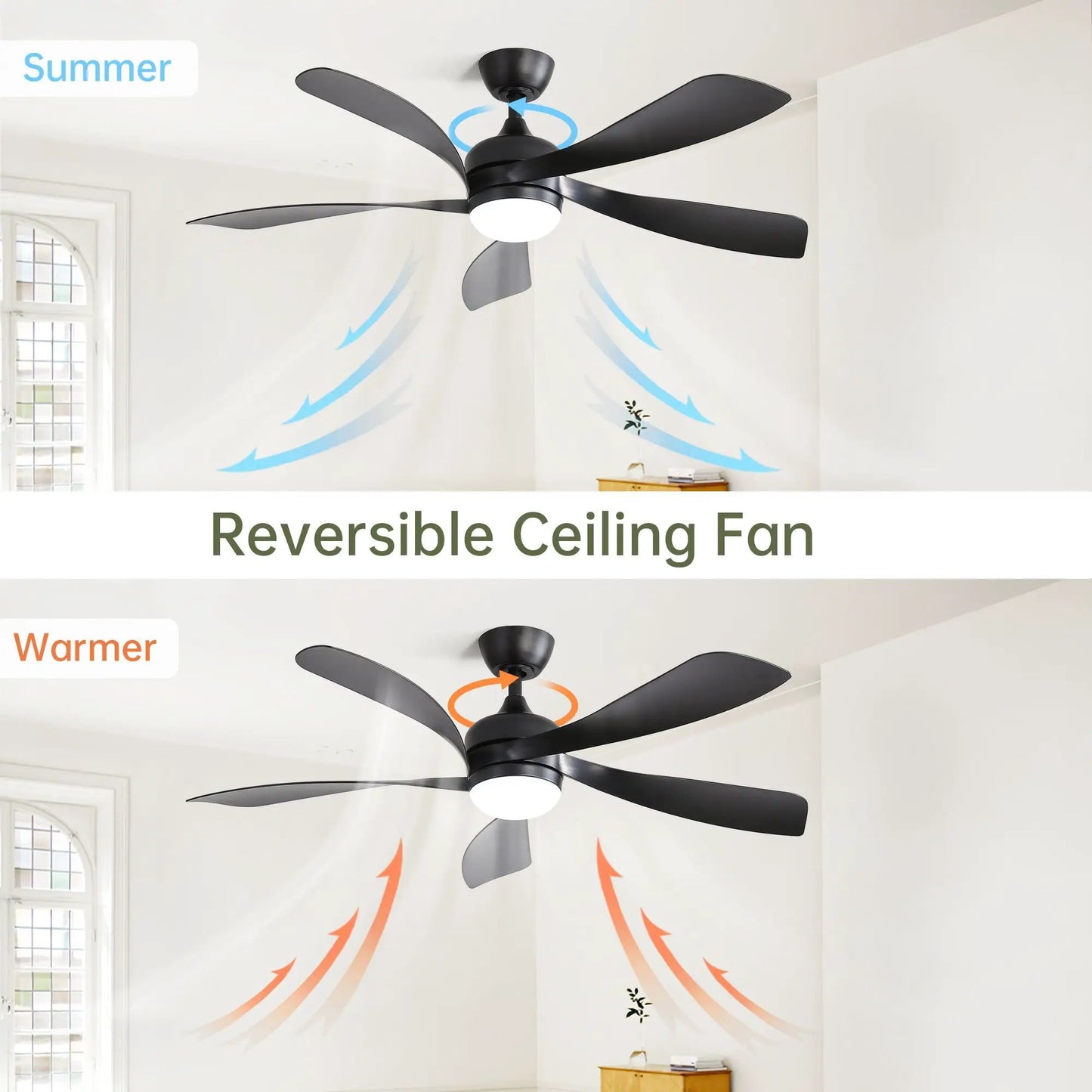Ceiling fan with integrated light, black blades, DC motor by Unique Piece Furniture on Tampa Home & Garden Store