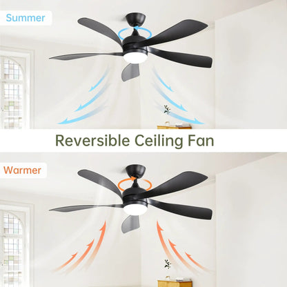 Ceiling fan with integrated light, black blades, DC motor by Unique Piece Furniture on Tampa Home & Garden Store