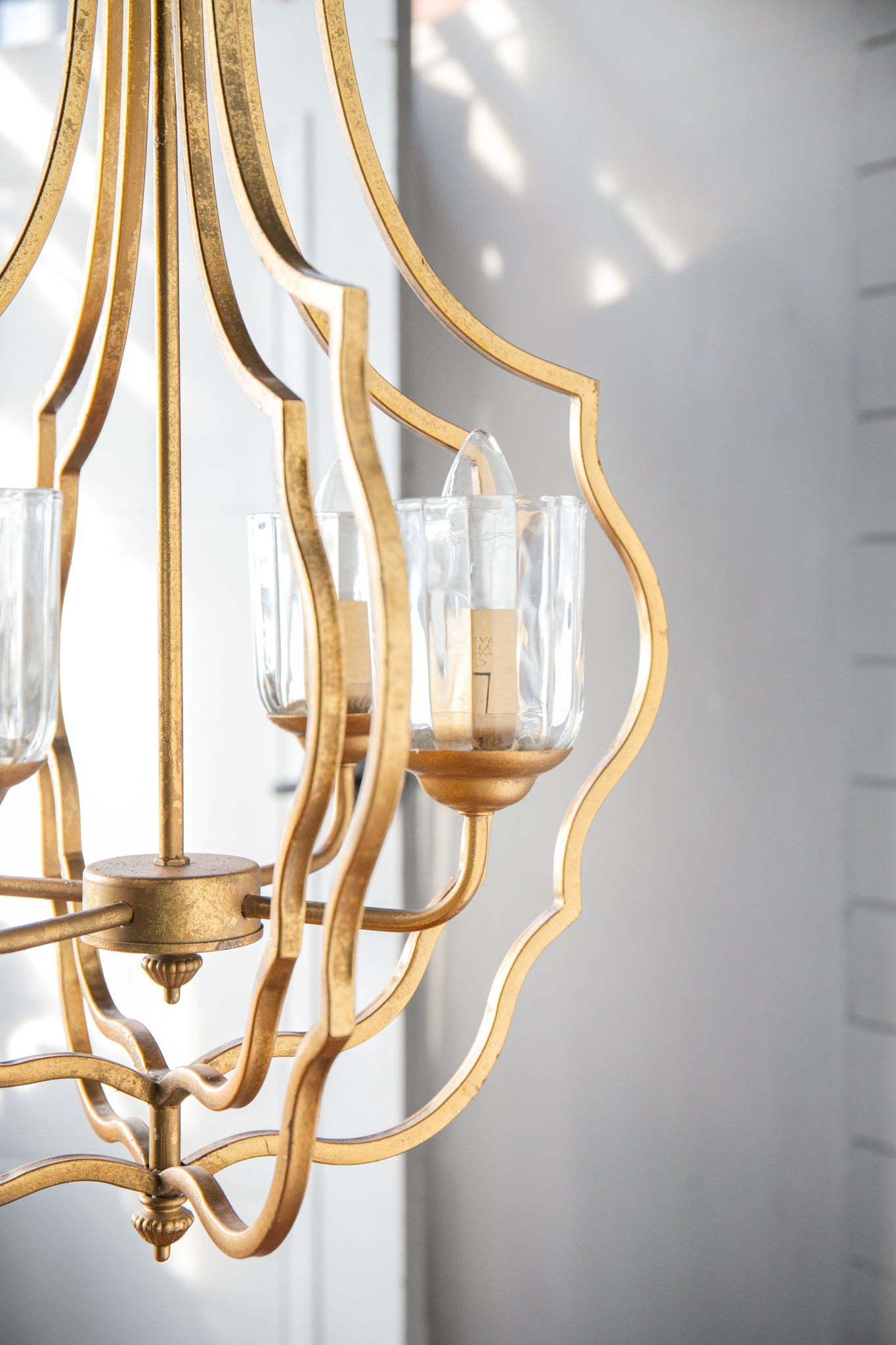 4-light gold metal chandelier with curved arms and glass shade cups HouseOfZazla on Tampa Home & Garden Store
