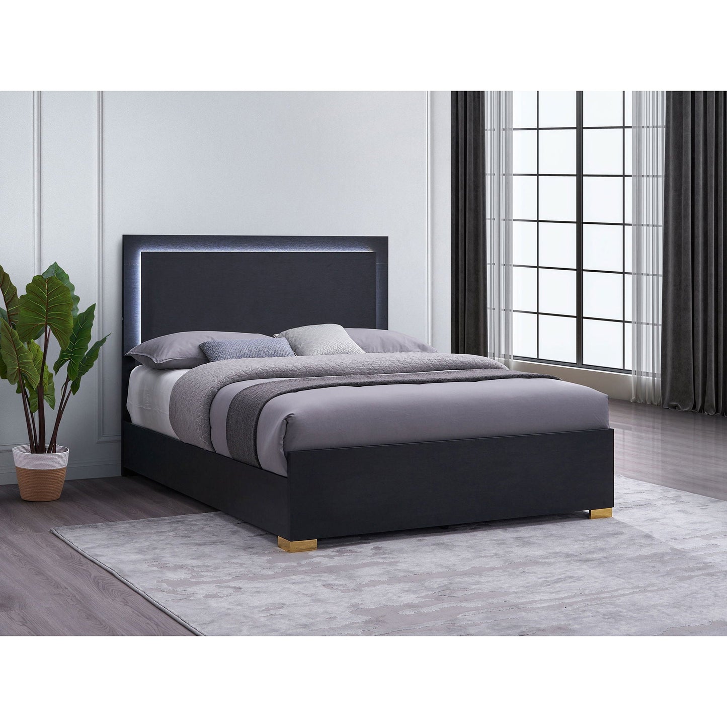 Medici Eastern King LED headboard panel bed in black with gold feet on Tampa Home & Garden Store