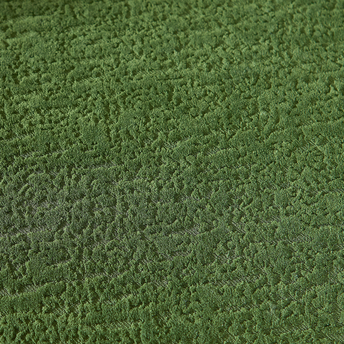 Green loop-pile carpet texture close-up with dense fibers, ideal for living room decor on Tampa Home & Garden Store