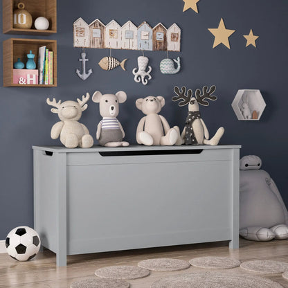 Toy Box Storage With Safety Hinged Lid For Kids