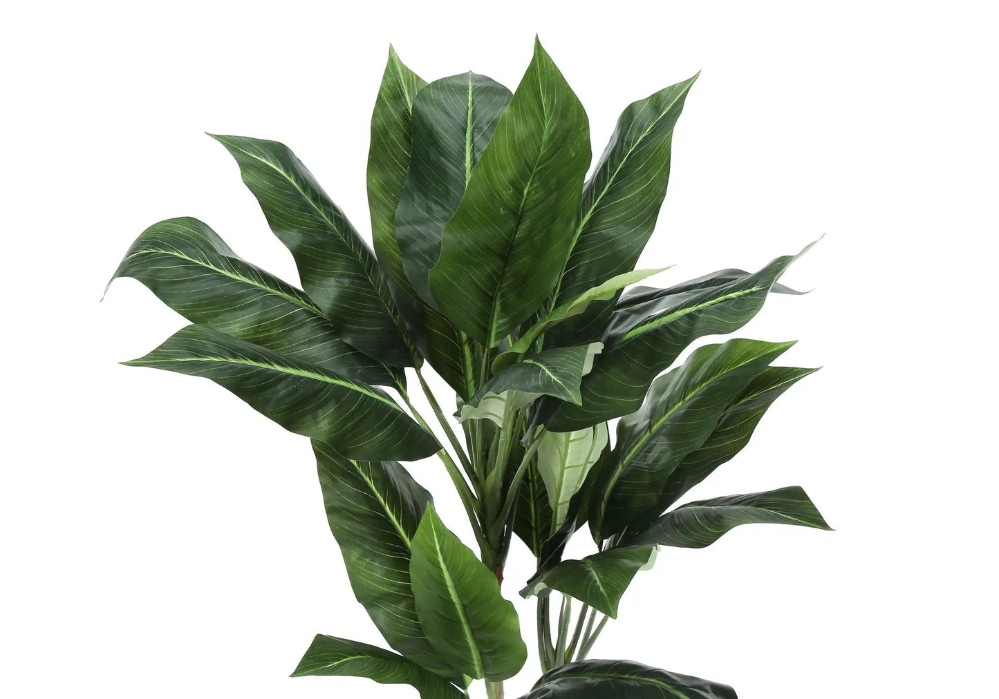 42in tall artificial evergreen plant with dark green leaves and pale veins for indoor greenery on Tampa Home & Garden Store