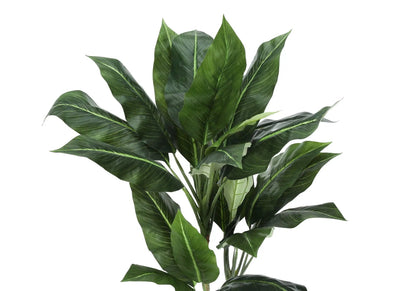 42in tall artificial evergreen plant with dark green leaves and pale veins for indoor greenery on Tampa Home & Garden Store