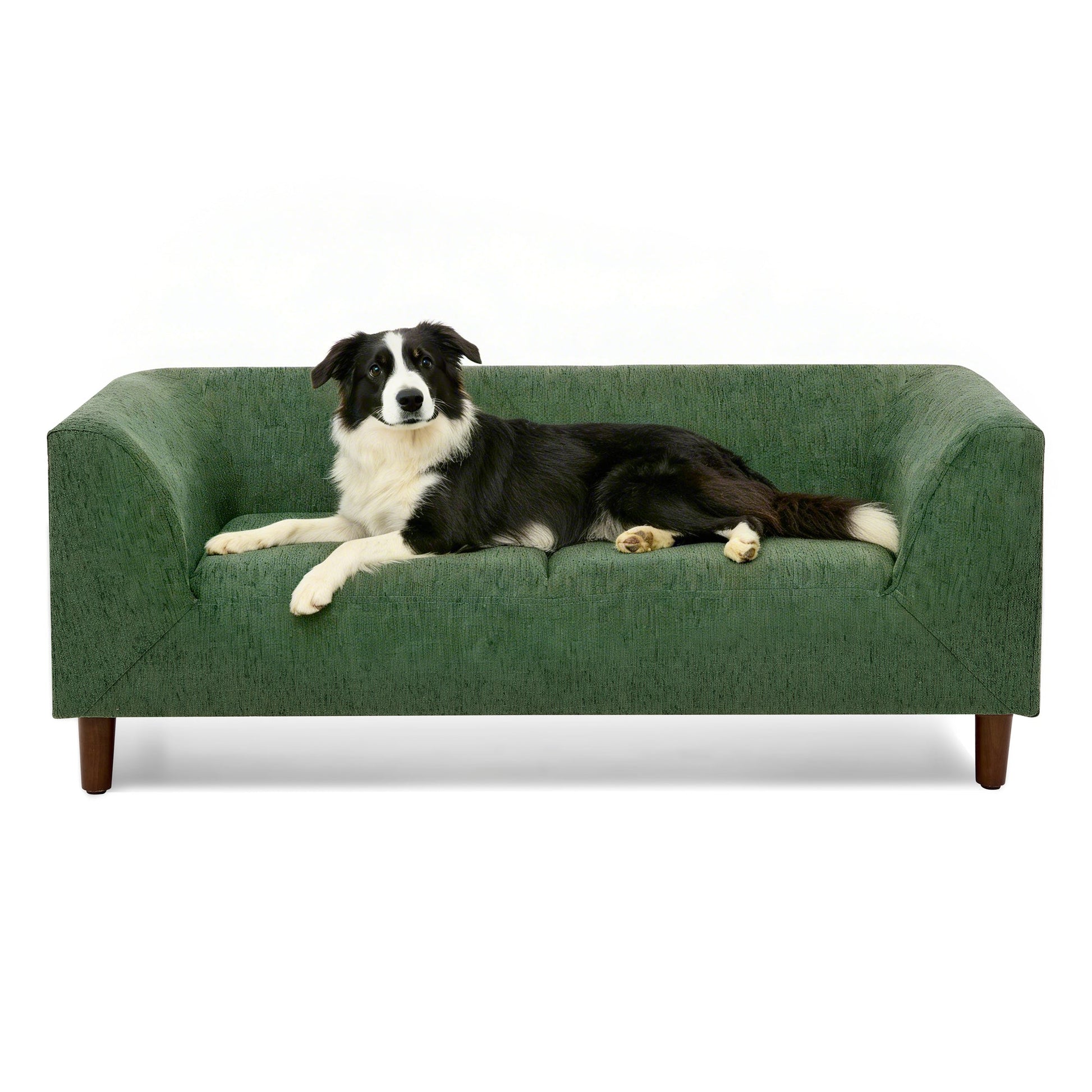 Pet sofa with backrest and armrests in olive green fabric by HouseOfZazla on Tampa Home & Garden Store