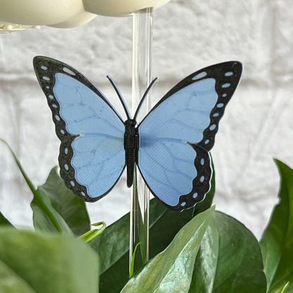 Original Dripping Rain Cloud with Blue Butterfly Charm
