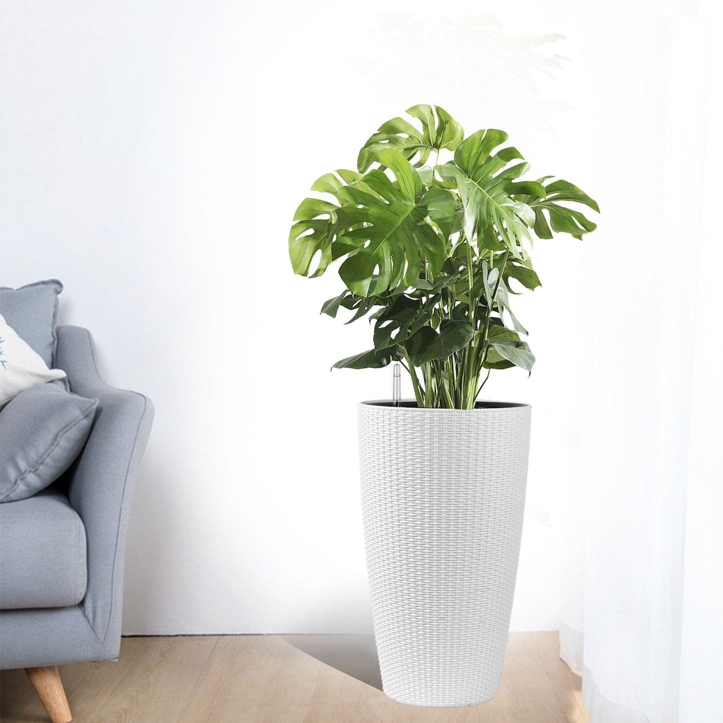 Tall planters set in white woven pot with Monstera, water level monitor, auto watering on Tampa Home & Garden Store