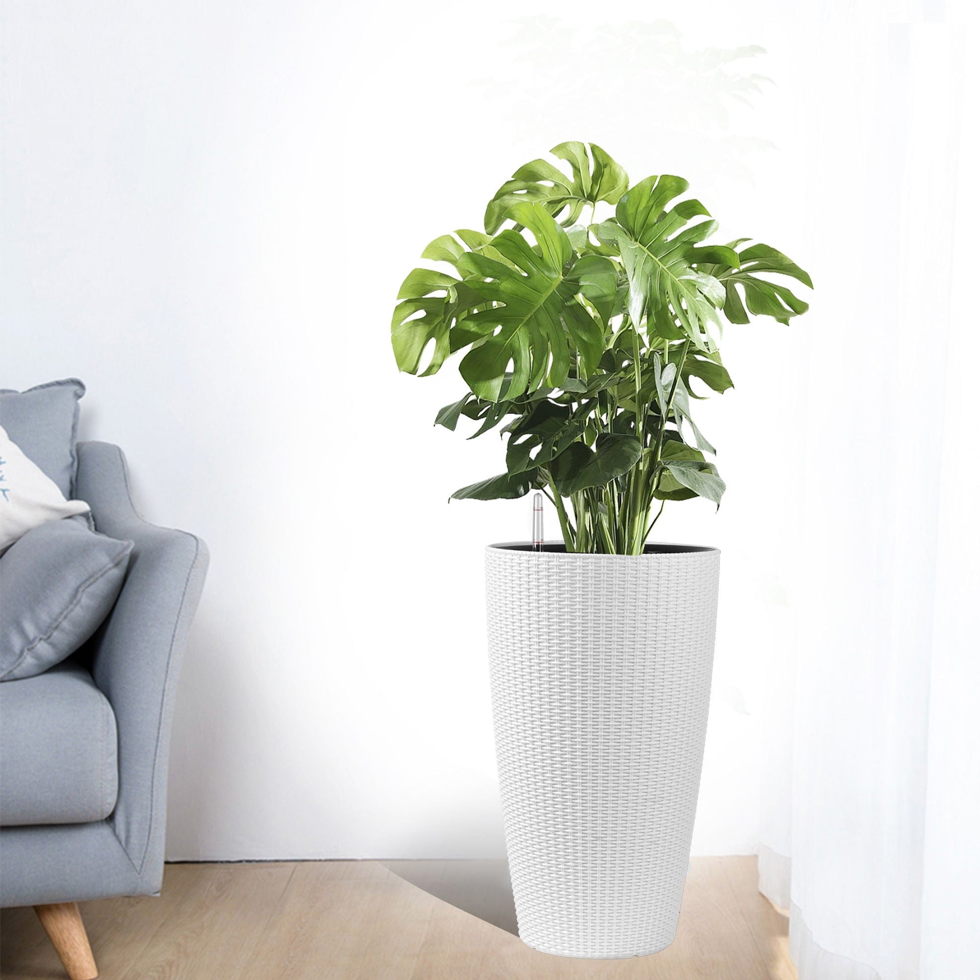 Tall planters set in white woven pot with Monstera, water level monitor, auto watering on Tampa Home & Garden Store