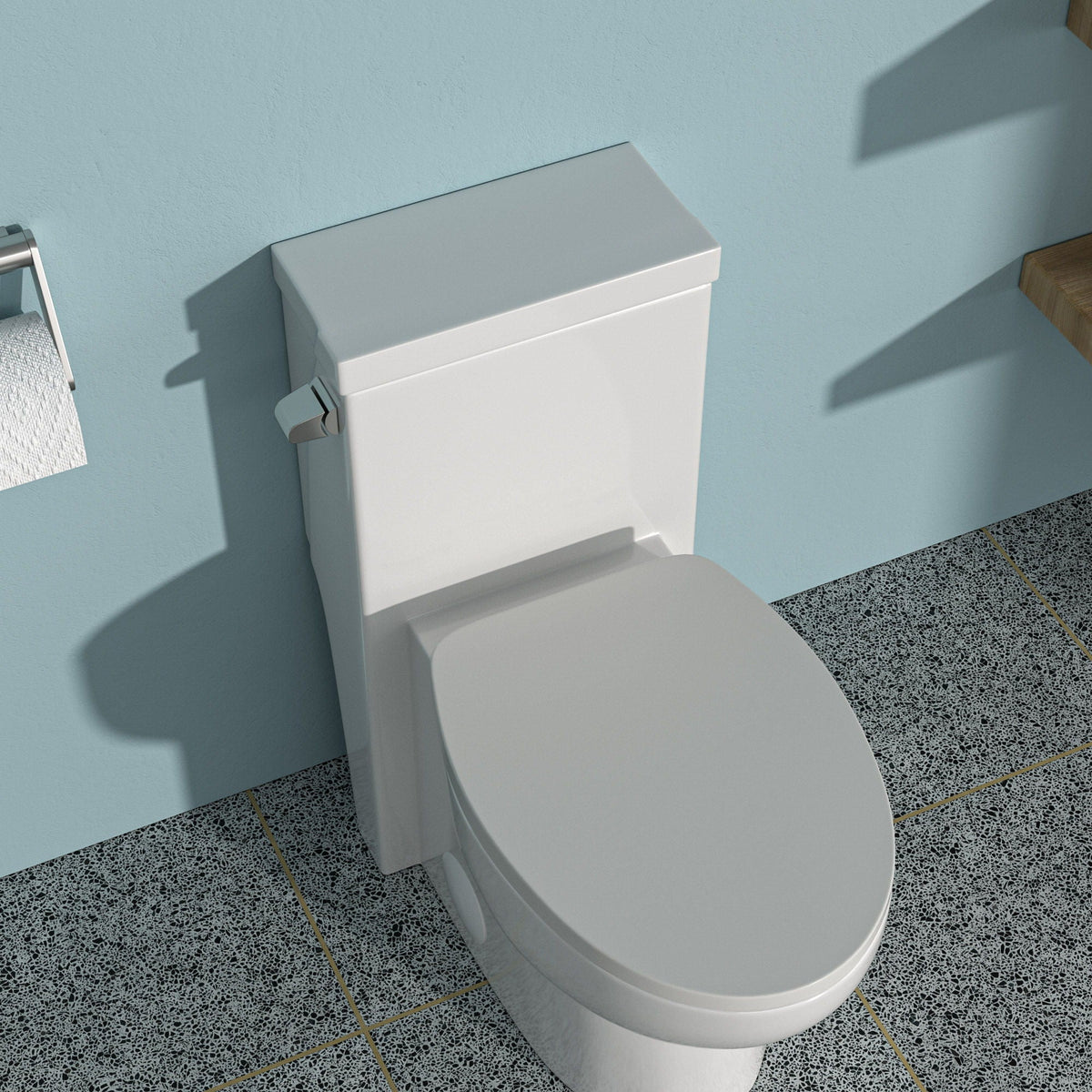 Modern ceramic 1-piece toilet with soft-closing seat in white on Tampa Home & Garden Store