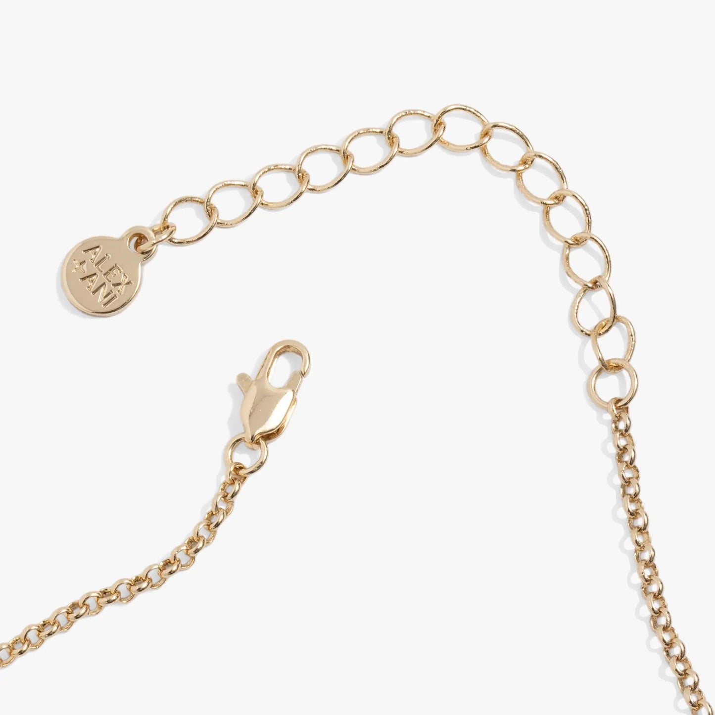 Bamboo Pendant Necklace by ALEX AND ANI in gold-tone with textured chain and round logo charm on Tampa Home & Garden Store