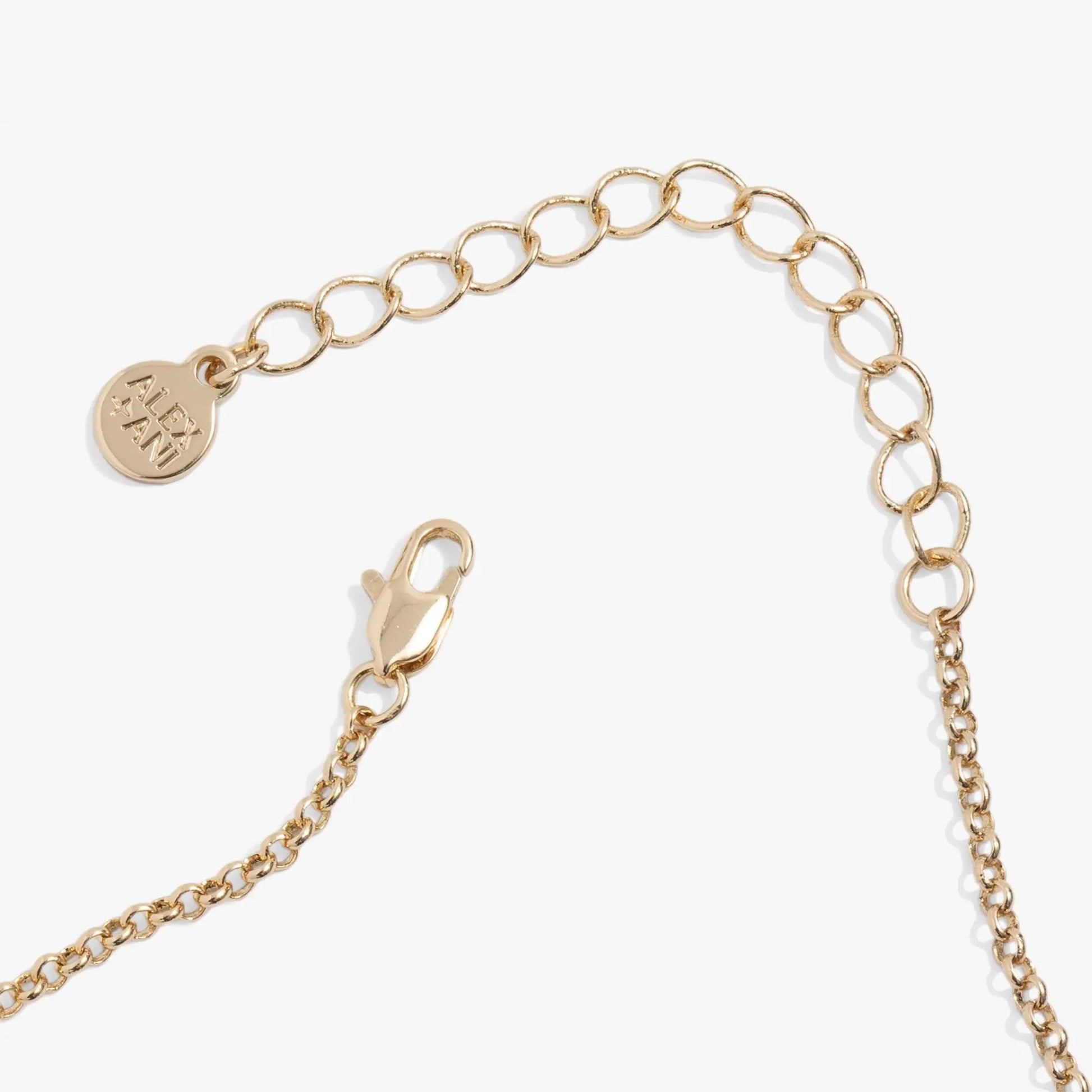 Bamboo Pendant Necklace by ALEX AND ANI in gold-tone with textured chain and round logo charm on Tampa Home & Garden Store