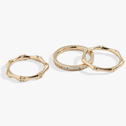 Bamboo Trio Ring Set by ALEX AND ANI, three gold-tone bamboo-link rings with stones on Tampa Home & Garden Store