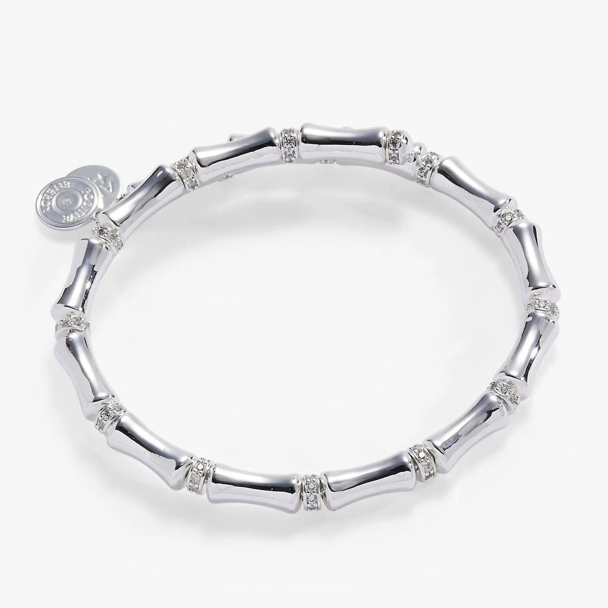 Alex and Ani Bamboo Wrap Bracelet, silver-tone curved links with crystal spacers on Tampa Home & Garden Store