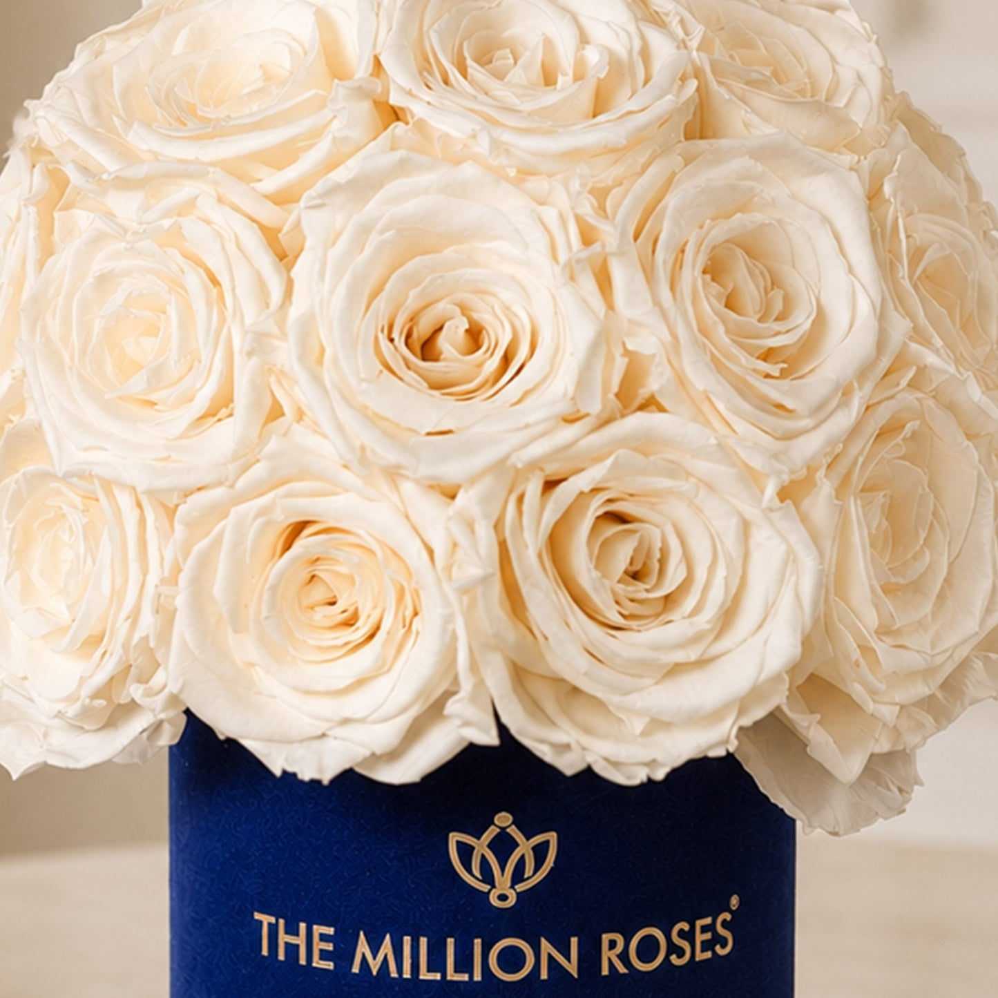 Essence Royal Blue Suede Superdome Box with white roses by The Million Roses on Tampa Home & Garden Store