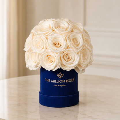 Essence Royal Blue Suede Superdome Box with white roses by The Million Roses on Tampa Home & Garden Store