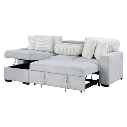 Reversible Pull Out Bed and a Gray Couch