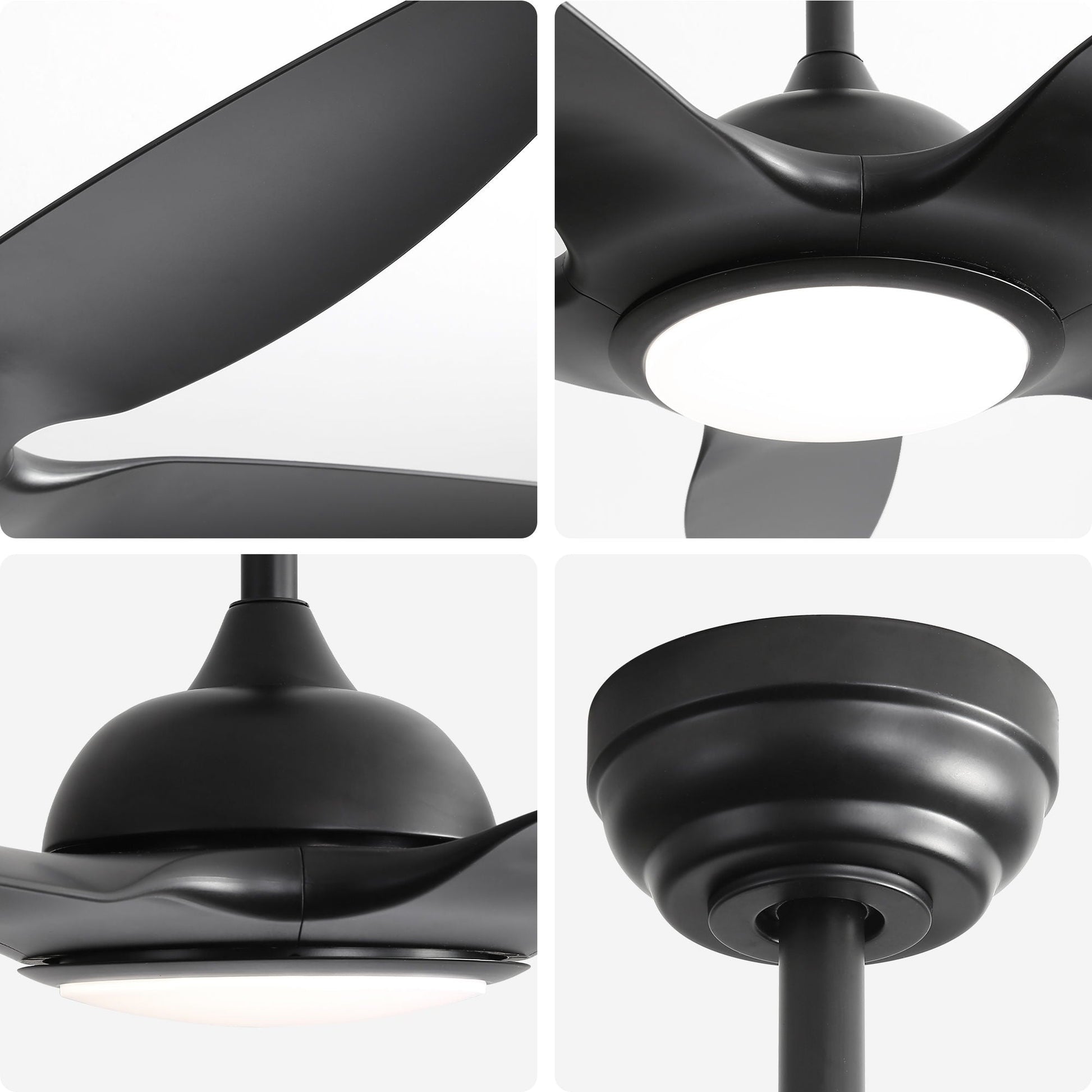 Ceiling fan HouseOfZazla black with dimmable LED light, 5 blades, DC motor, remote control on Tampa Home & Garden Store