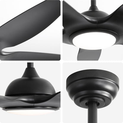 Ceiling fan HouseOfZazla black with dimmable LED light, 5 blades, DC motor, remote control on Tampa Home & Garden Store