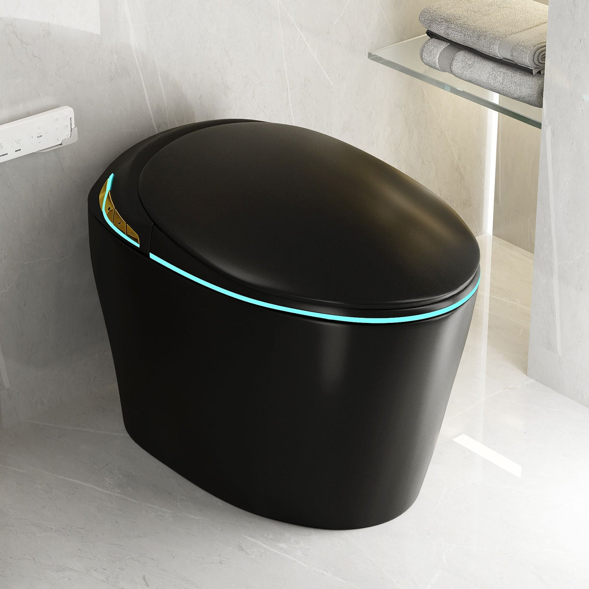 Smart Toilet With Ceramic Bidet in Matte Black by HouseOfZazla, wall panel visible on Tampa Home & Garden Store