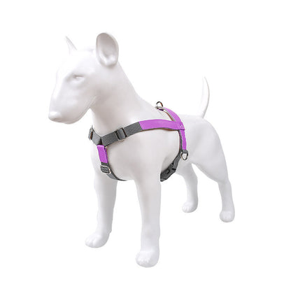 Leather dog chest harness vest with nylon leash in purple and gray by Pet Zen on Tampa Home & Garden Store