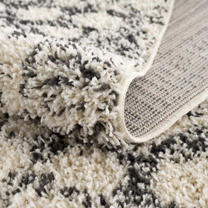 Buan Area Rug by Boutique Rugs with cream gray shag pile and textured plush fibers on Tampa Home & Garden Store