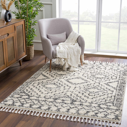 Buan Area Rug cream with black geometric border and tasselled fringe on Tampa Home & Garden Store
