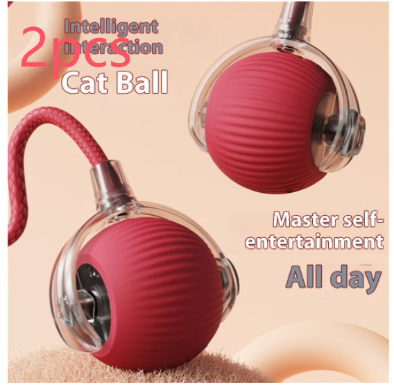Electric cat ball toy with auto rolling, two red balls inside clear shell, by Sell My Stuff on Tampa Home & Garden Store