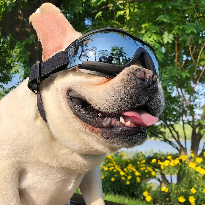 Dog windproof pet sunglasses with mirrored lenses and black frame, FLIPSTYLEZLLC on Tampa Home & Garden Store