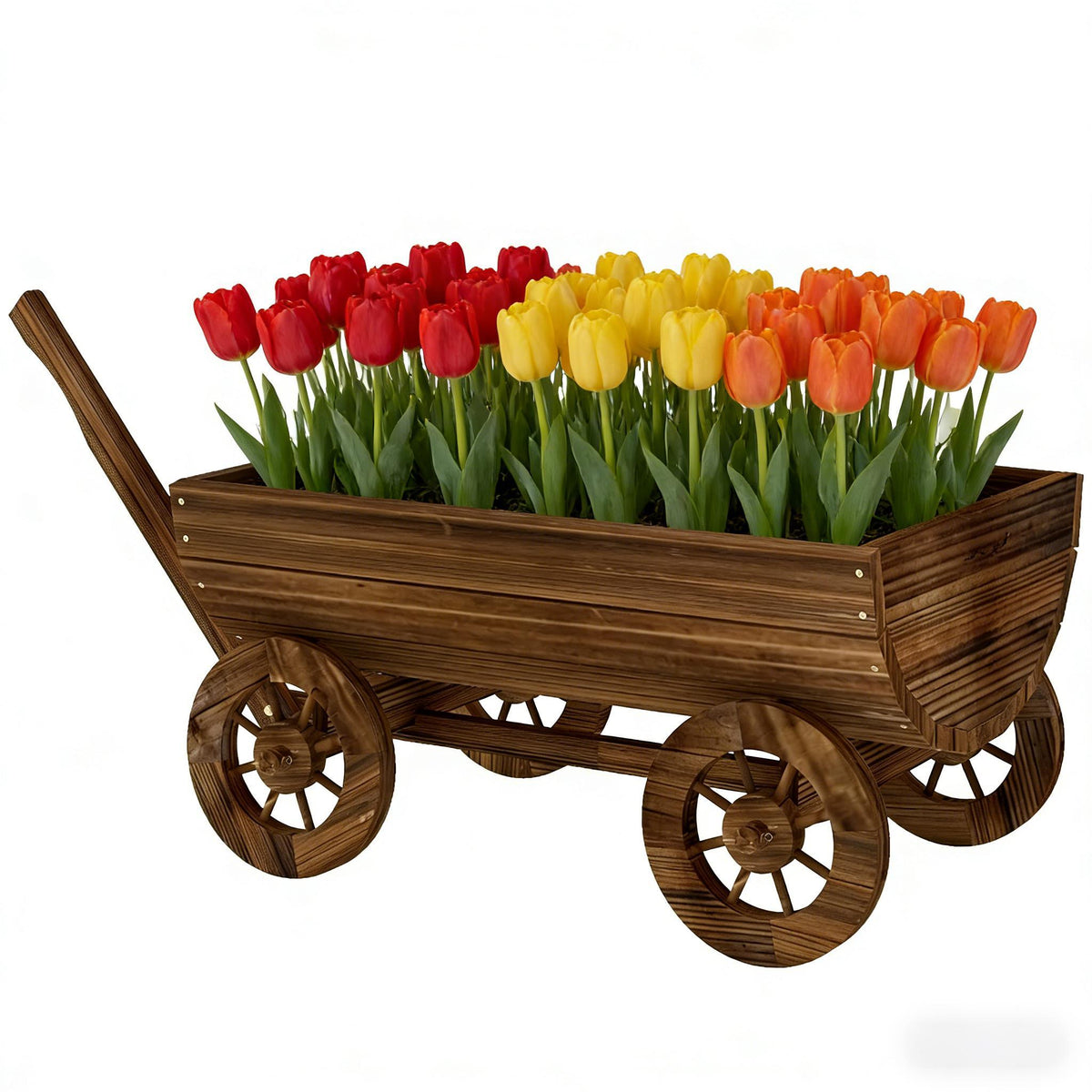Wooden wheelbarrow planter with drainage filled with red, yellow and orange tulips on Tampa Home & Garden Store