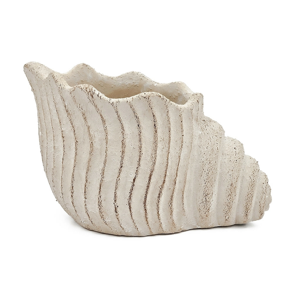 Nautilus shell planter in beige textured cement finish with ribbed surface on Tampa Home & Garden Store