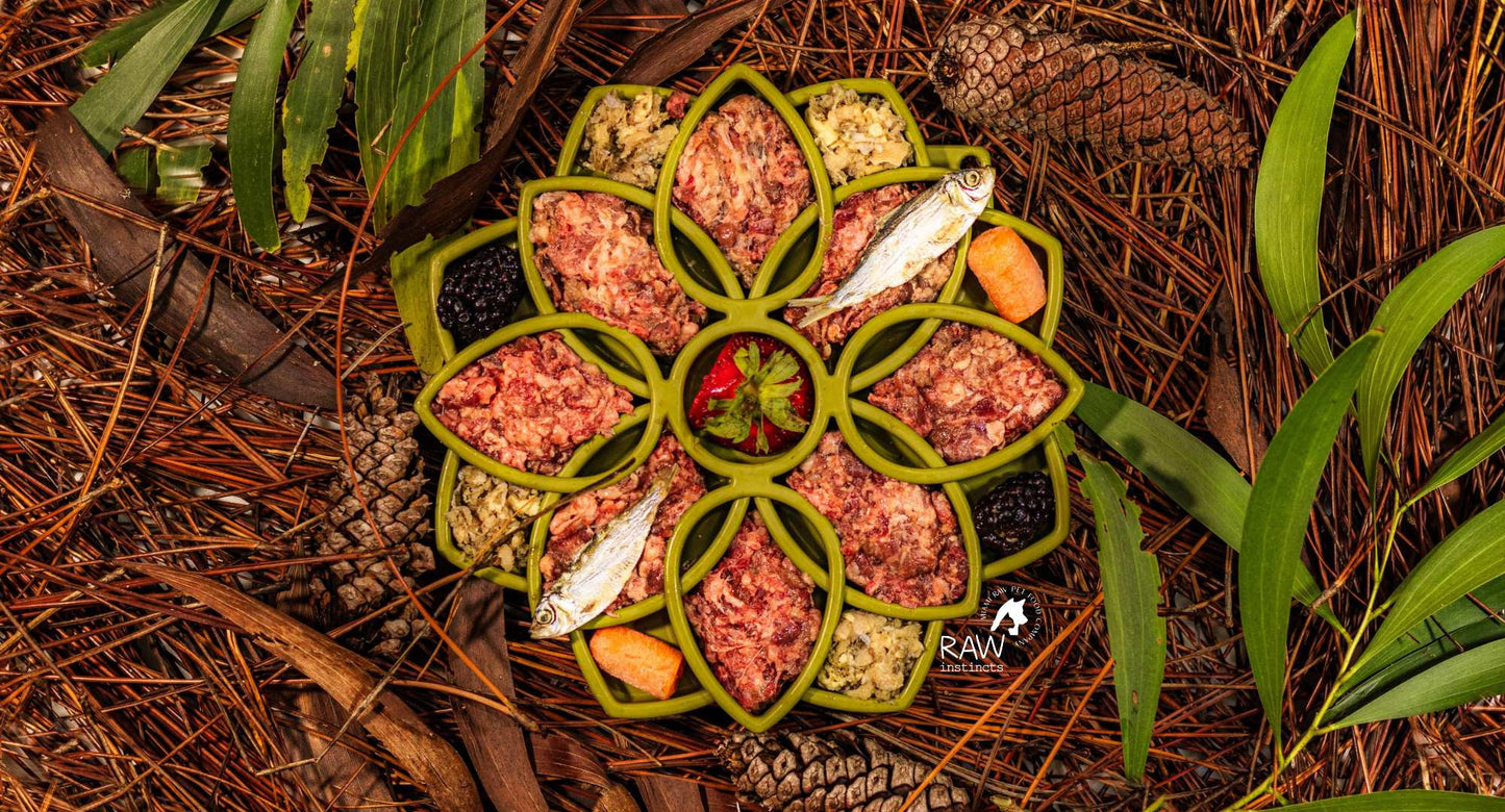 Mezcla de carne de res cruda y salmón silvestre para gatos y perros — Prey Model Raw | Raw Instincts Florida