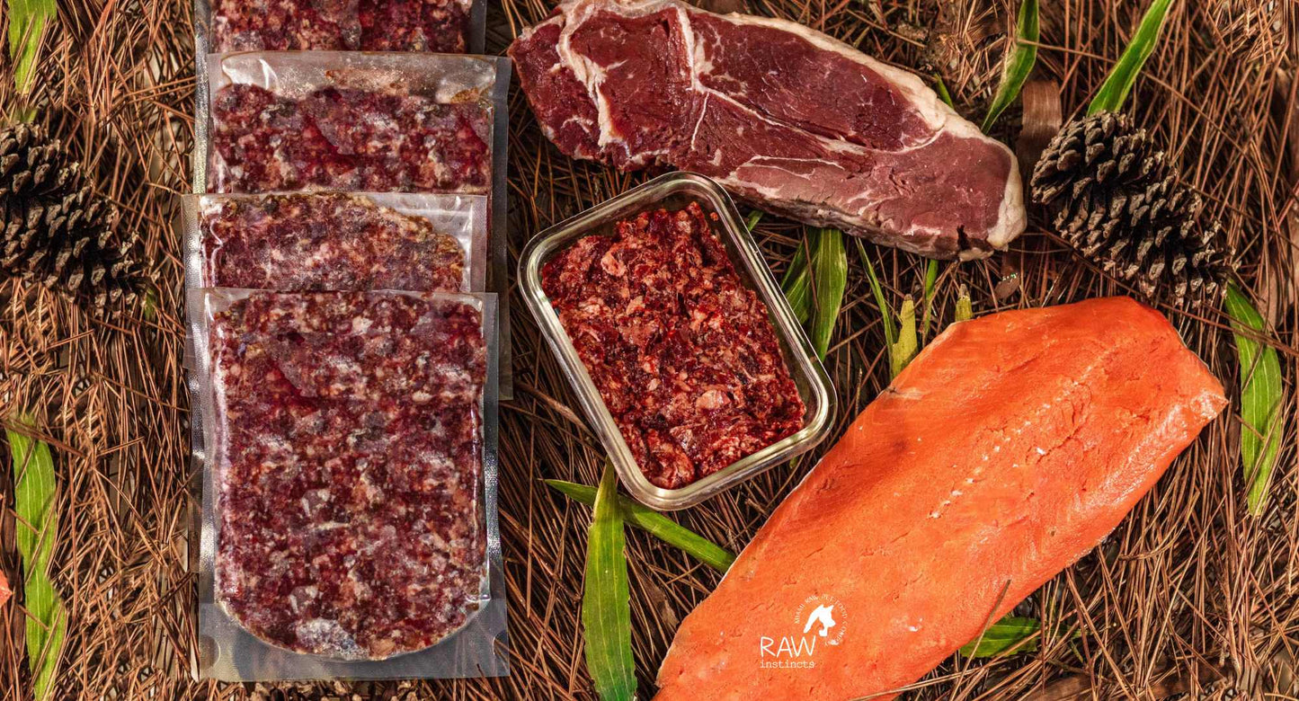 Mezcla de carne de res cruda y salmón silvestre para gatos y perros — Prey Model Raw | Raw Instincts Florida