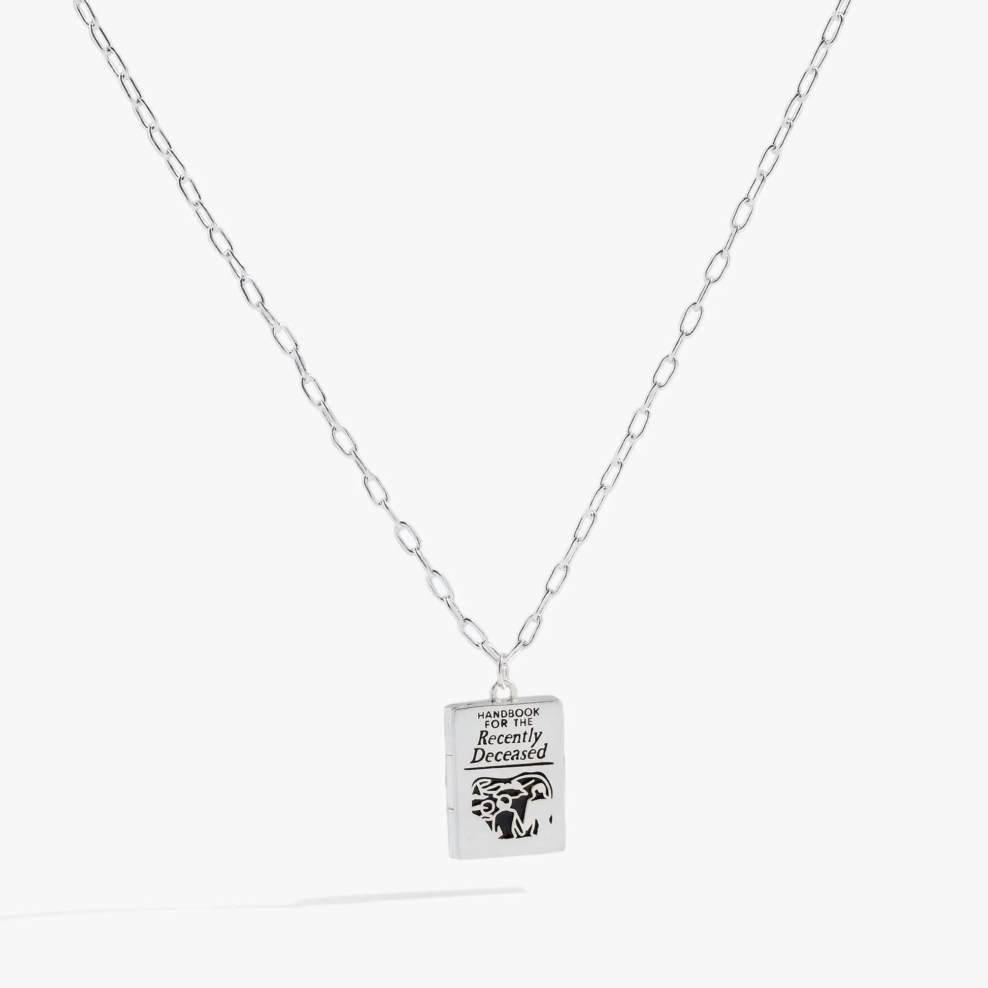 Beetlejuice Handbook pendant necklace by Alex and Ani, silver chain, rectangular charm on Tampa Home & Garden Store