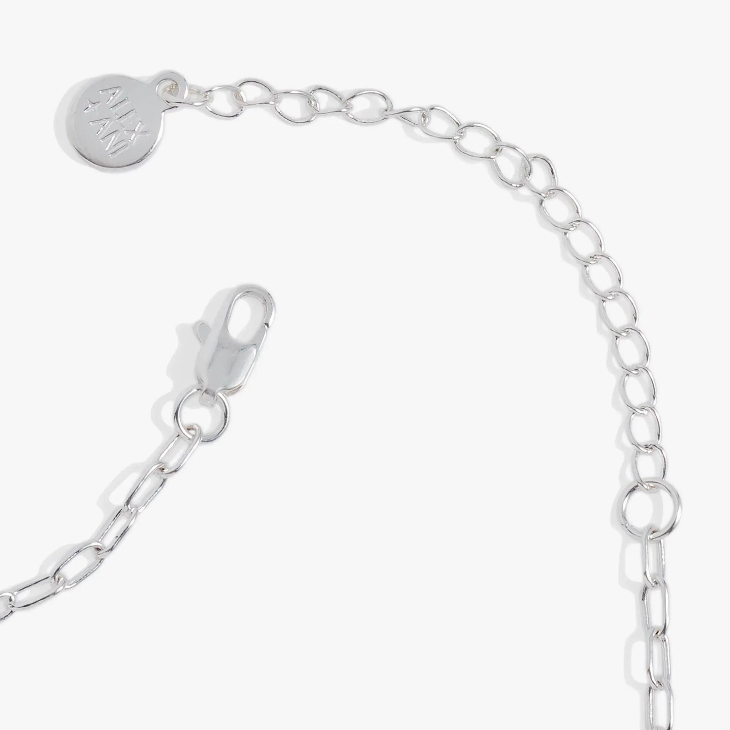 Beetlejuice Handbook pendant necklace by ALEX AND ANI in silver with round disc charm on chain on Tampa Home & Garden Store