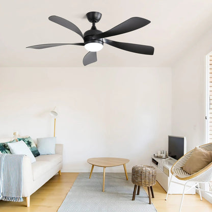 Ceiling fan with DC motor and light, five blades, black finish by Unique Piece Furniture on Tampa Home & Garden Store