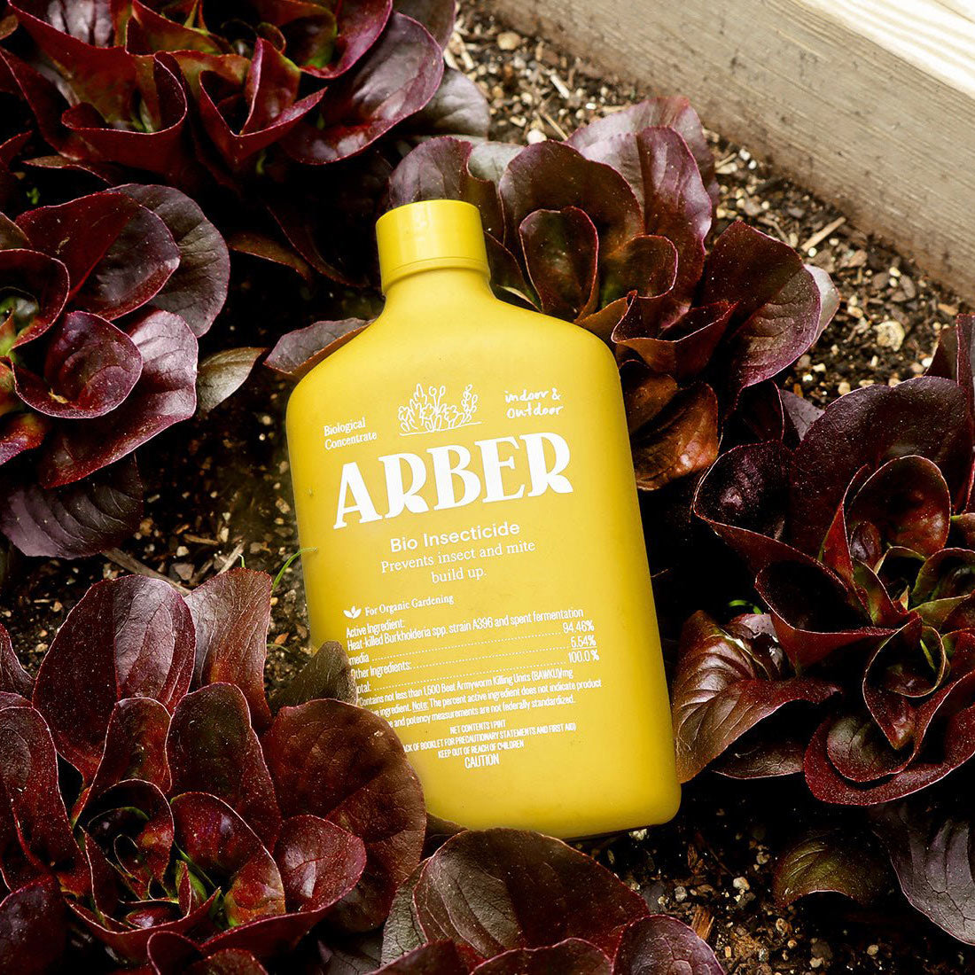 ARBER Bio Insecticide yellow bottle for organic pest control red lettuce in garden bed on Tampa Home & Garden Store