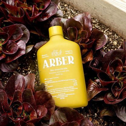 ARBER Bio Insecticide yellow bottle for organic pest control red lettuce in garden bed on Tampa Home & Garden Store