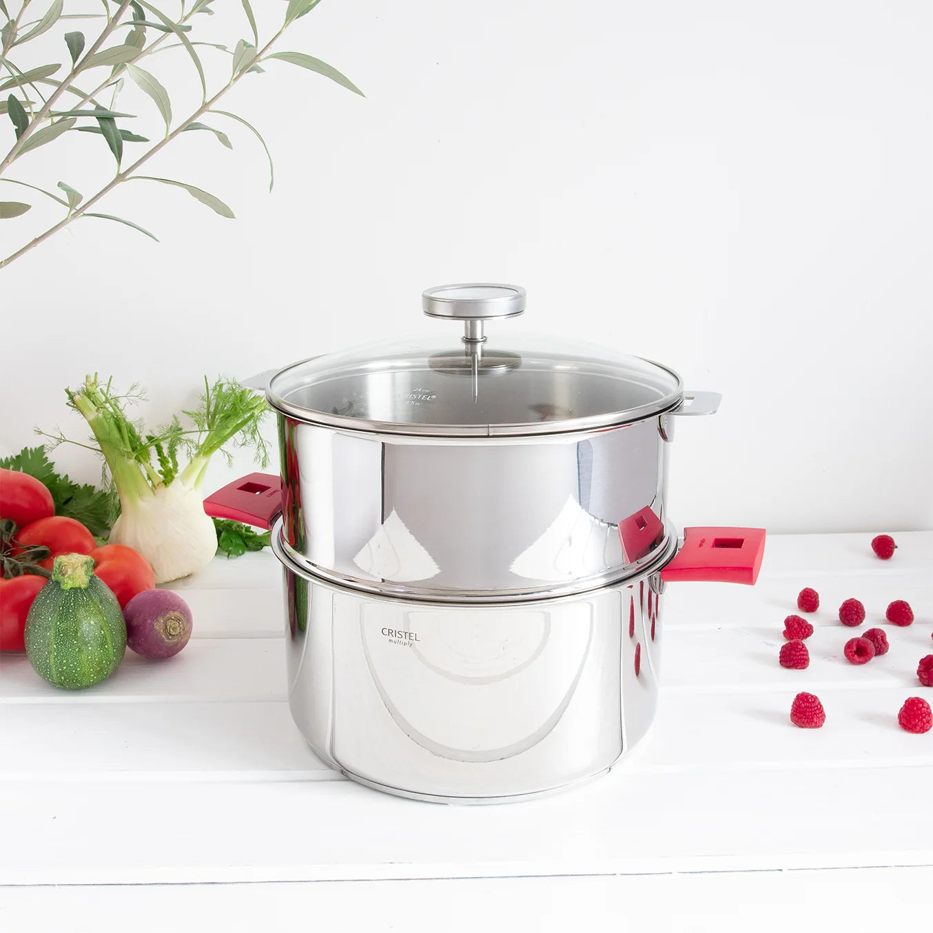 BIOME Healthy Cooking steamer pot with glass lid, stainless steel, pink handles CRISTEL USA on Tampa Home & Garden Store