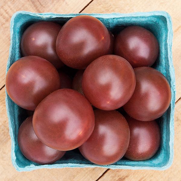 Black cherry tomato fruits in a light blue carton, glossy round berries on Tampa Home & Garden Store
