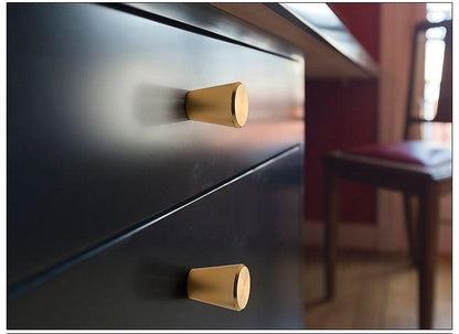 Brushed stainless steel cabinet knobs with gold finish on a black cabinet two knobs on Tampa Home & Garden Store